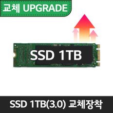 (추가구성) 15Z90 NVMe 1TB PCIe 4.0 교체