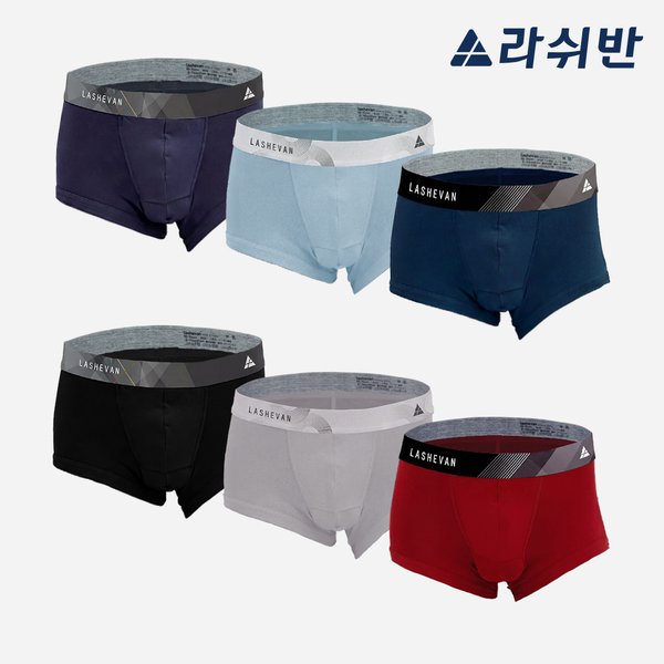 확대된 대표 대표이미지