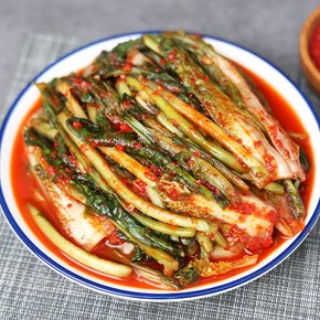 전라도 전통식품 인증 열무 자박이 2kg (열무+얼갈이) HACCP인증 당일제조 100% 국산 김치
