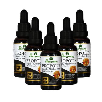  에버그린 무알콜 리퀴드 프로폴리스 30ML 5개