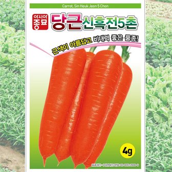 신흑전5촌 당근 씨앗 심는 모습
