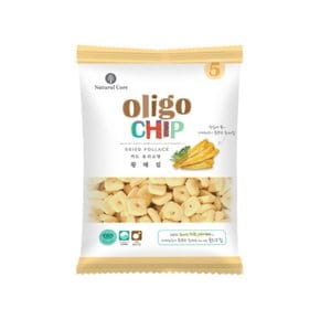 올리고칩 황태 45g