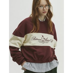 Color Block Collar Sweatshirt_Burgundy