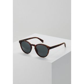 4574952 Polaroid Sunglasses - matt havana