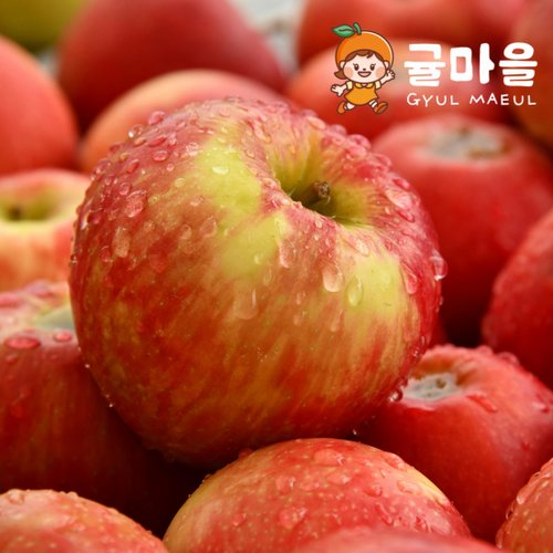추가2이미지