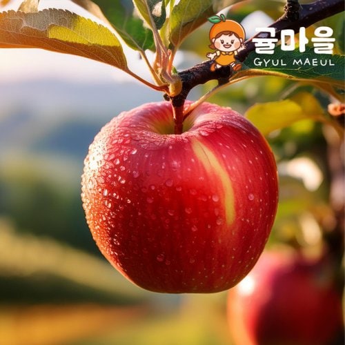 추가3이미지