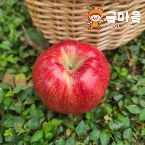 추가4이미지