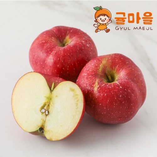 추가5이미지