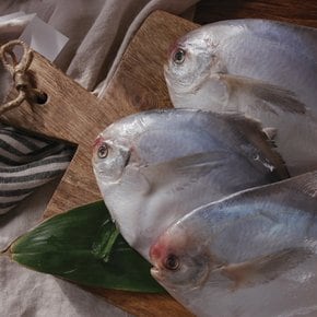 맛부장 국내산 손질병어 300g 4팩 (팩당 3~4미 내외)