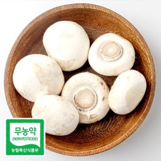  친환경 무농약 부여 양송이 버섯 가정용 1kg 못난이 조리용 친환경채소