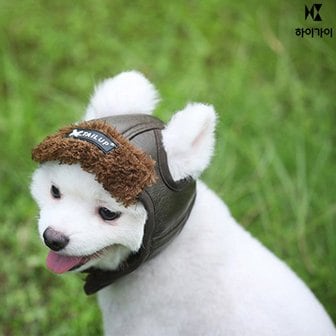 하이가이 강아지 공군 귀도리 고양이 군밤 장수모자