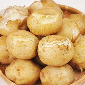 [오늘출발] 포근포근 24년산 감자 10kg (중)