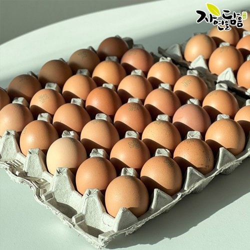 상품이미지4