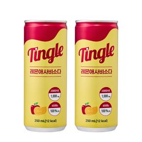 팅글 레몬애사비소다 250ml x 6캔