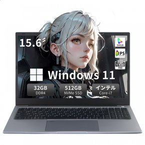 Core i7 11  Win 11  MS Office 2019  IPS DDR4 32GB  NvMe SSD     Zoom ( 512G, 32G) 제 세대