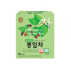 송원 우리차 뽕잎차 40T