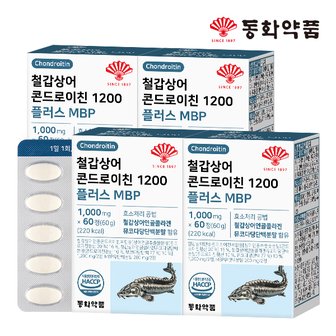 동화약품 철갑상어 콘드로이친 1200 플러스 MBP 4박스 (240정)