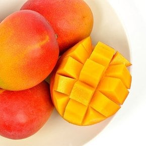 제주 애플망고 3kg (8-10입)