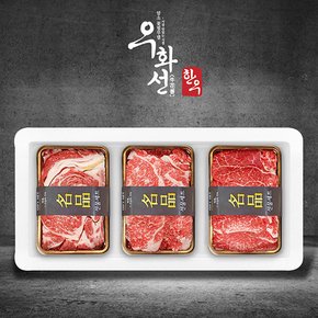 암소 숙성한우 1등급 로스세트 1호(꽃등심600g+채끝500g+안심200g/총1.3kg)