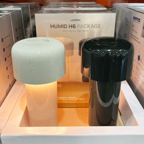 MIST STAND 듀얼 무선 조명 가습기 H6 1L x 2 코스트코 무드등 미스트 스탠드 통세척 휴대