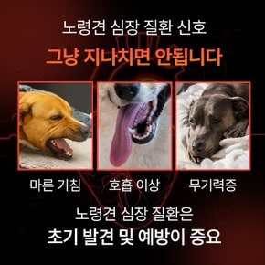 리포좀 하트 강아지 심장 영양제 면역 항산화제 헥헥거림 노견 노령견 60정, 1개