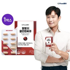 혈행엔 올인원써큐 30정x1박스/15일