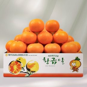 [제주바람] 제주농협 직송 제주 천혜향 3kg (12~20입)