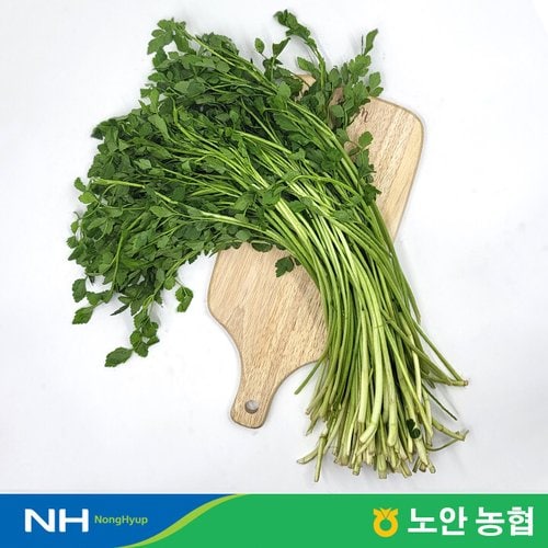 이미지 P