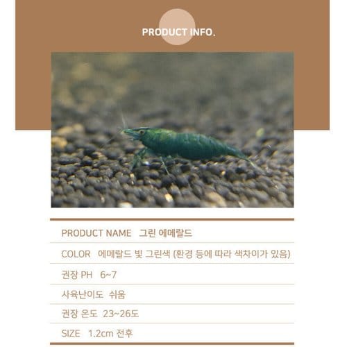 상품이미지2