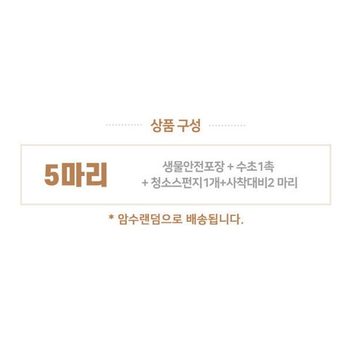 상품이미지7