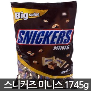 미니스 1745g 대용량 초콜릿