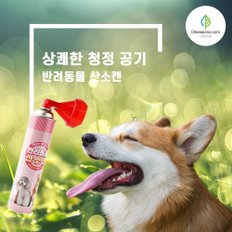 강아지 산소캔 고양이 산소호흡기 산소마스크 산소통