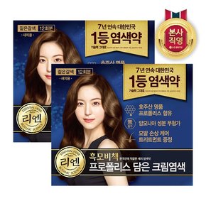 리엔 흑모비책 프로폴리스 염색약 480g 짙은갈색 x 2개