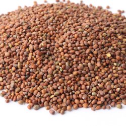 동의한재 수입 나복자 무씨 3kg - SSG.COM