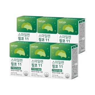  스마일렌 징코 11 은행잎추출물 600mg 30정X6통