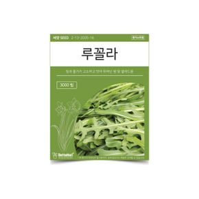 베하몰 텃밭 채소 씨앗 루꼴라 X ( 2매입 )