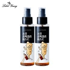 쇼킹좀싹킬러미스트 100ml 2개 각종발고민,문제성발 집중케어/풋미스트