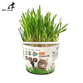 영양제 그루루 귀리 재배세트 고양이