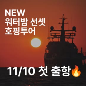 푸꾸옥 호핑투어 워터밤 오후 반나절 선셋 투어 스노쿨링 액티비티 스피드보트 픽업 샌딩