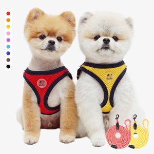 REAL PET 리얼펫 강아지하네스 가슴줄+리드 세트 9color (XXS - XXL)