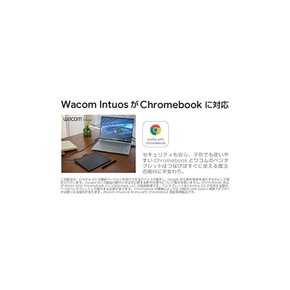 CTL-6100 K0 Wacom Intuos 베이식 Medium