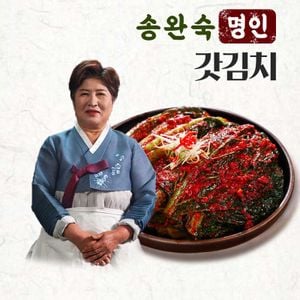 NS홈쇼핑 [송완숙명인] 여수 돌산갓김치 2kg 외 국내산 김치 당일생산..[34178699]