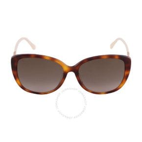 5231145 Jimmy Choo Brown Gradient Cat Eye Ladies Sunglasses