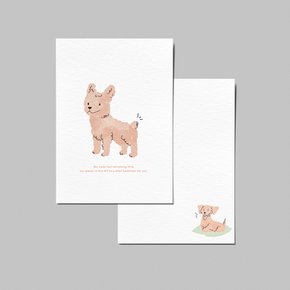 orange dog postcard