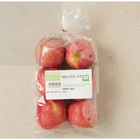 자연주의 웰리스 위크 행사 모음전