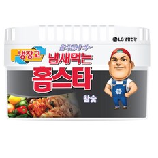 LG 냄새먹는 홈스타 냉장고 참숯 420g(1개)