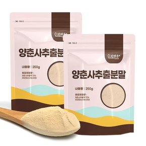 양춘사 추출분말 500g (250gx2개) 사인 추출물 분말 가루