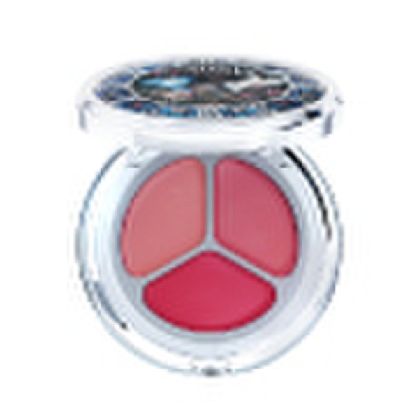 [립앤치크/트리플팟] 딘토 블러링 타임 투 키스 & 블러쉬 4종