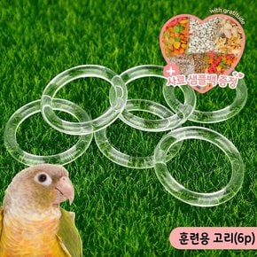 앵무새 훈련용 고리 6p 투명링 장난감 지능발달 두뇌자극