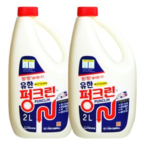 유한 펑크린 배수관 세정제 2L X 2개